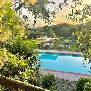  Bed and breakfast Alloro Italia